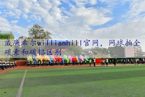 网球拍全碳素和碳铝区别