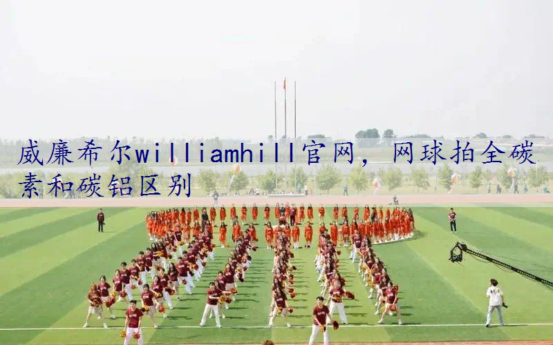 网球拍全碳素和碳铝区别