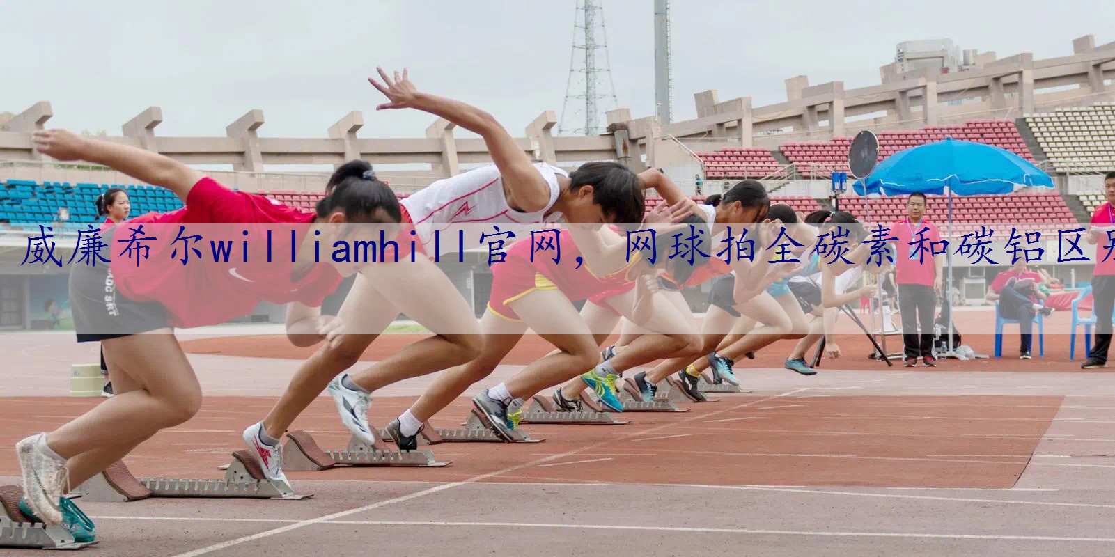 网球拍全碳素和碳铝区别