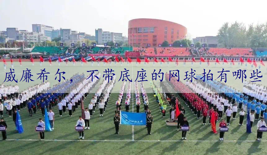 不带底座的网球拍有哪些