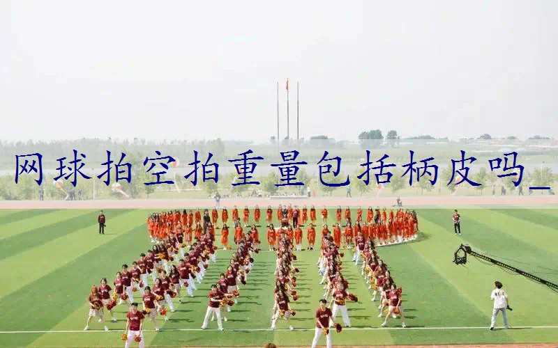 网球拍空拍重量包括柄皮吗_