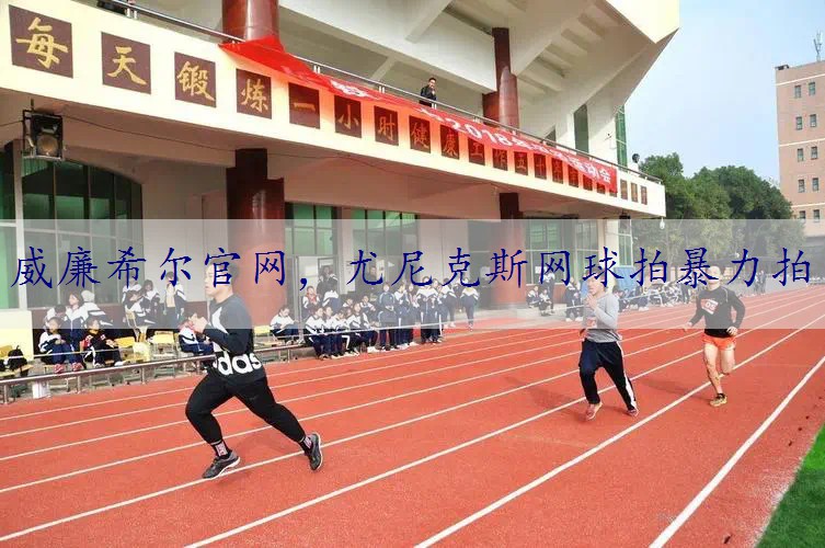 尤尼克斯网球拍暴力拍