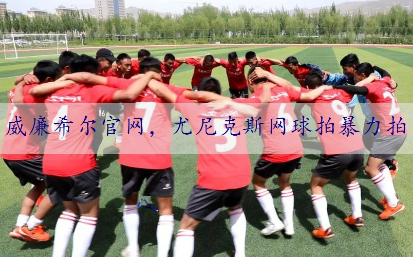 尤尼克斯网球拍暴力拍