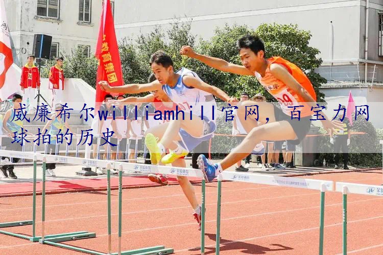 百宝力网球拍的历史
