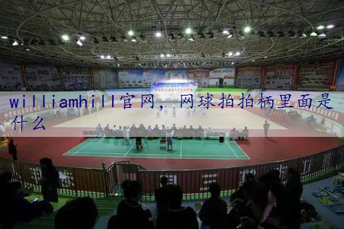 网球拍拍柄里面是什么