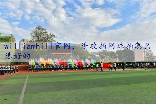 进攻拍网球拍怎么选好的
