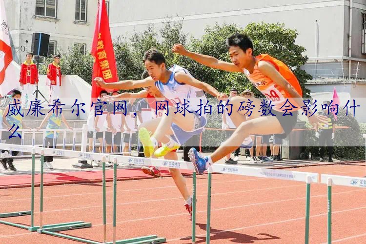 网球拍的磅数会影响什么