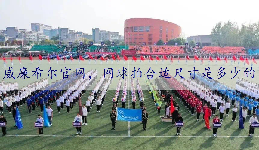 网球拍合适尺寸是多少的