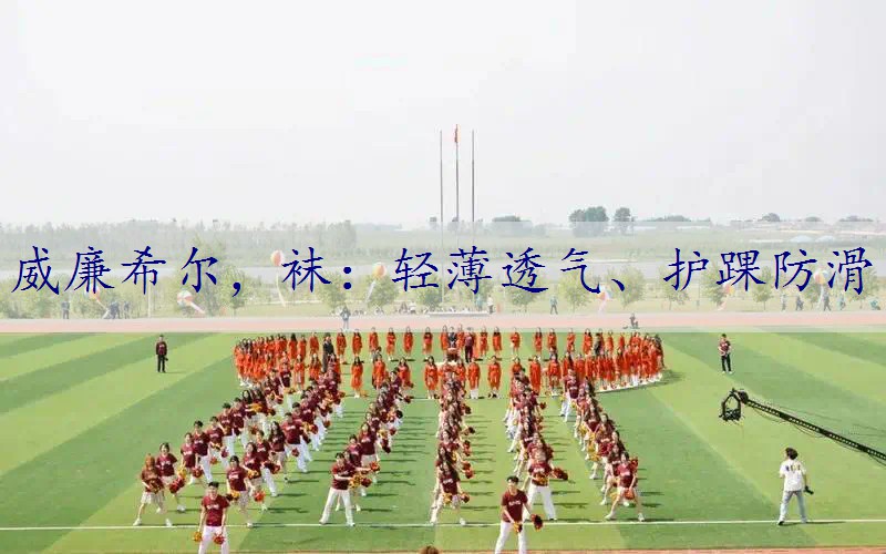 袜：轻薄透气、护踝防滑