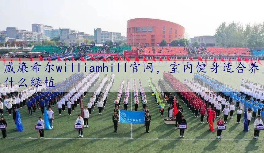 室内健身适合养什么绿植