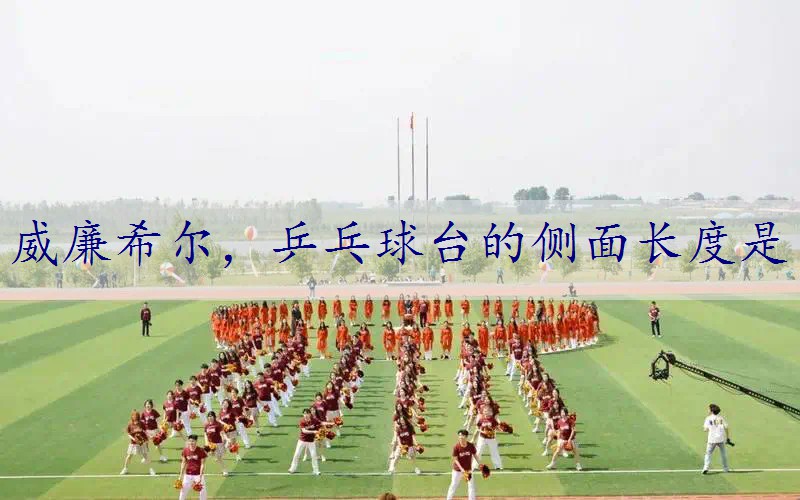 乒乓球台的侧面长度是