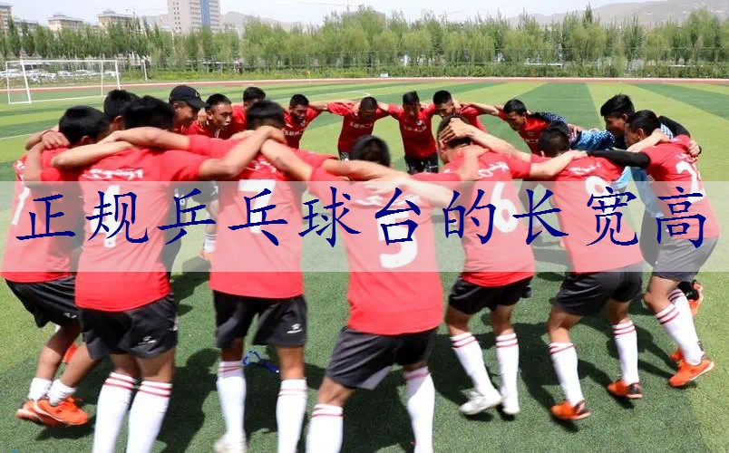 正规乒乓球台的长宽高
