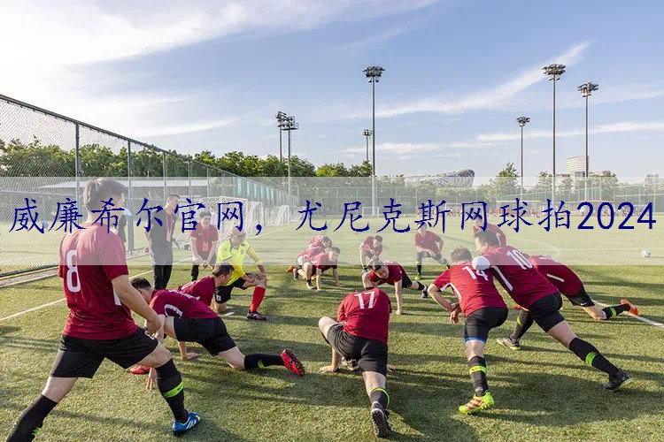 尤尼克斯网球拍2024