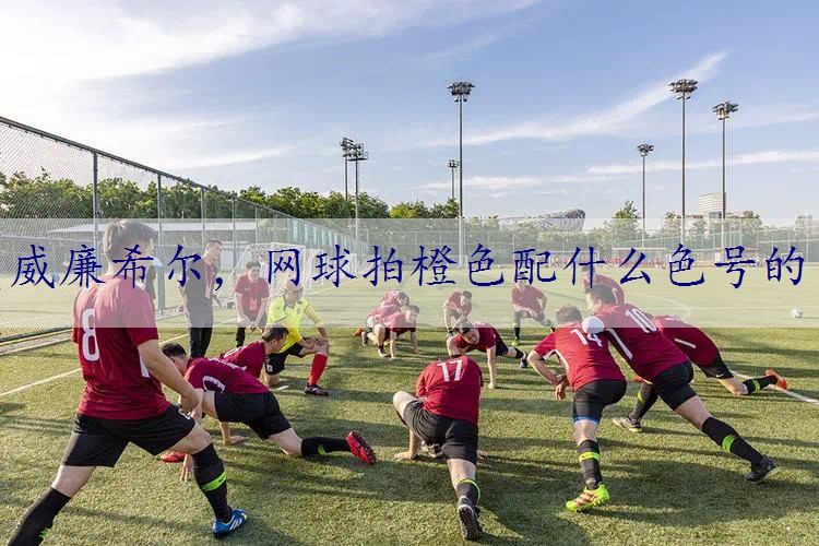 网球拍橙色配什么色号的