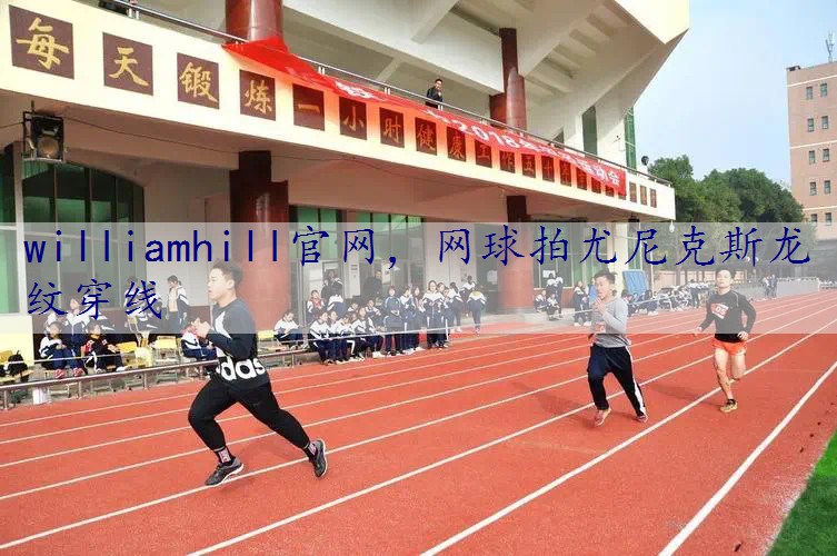 网球拍尤尼克斯龙纹穿线