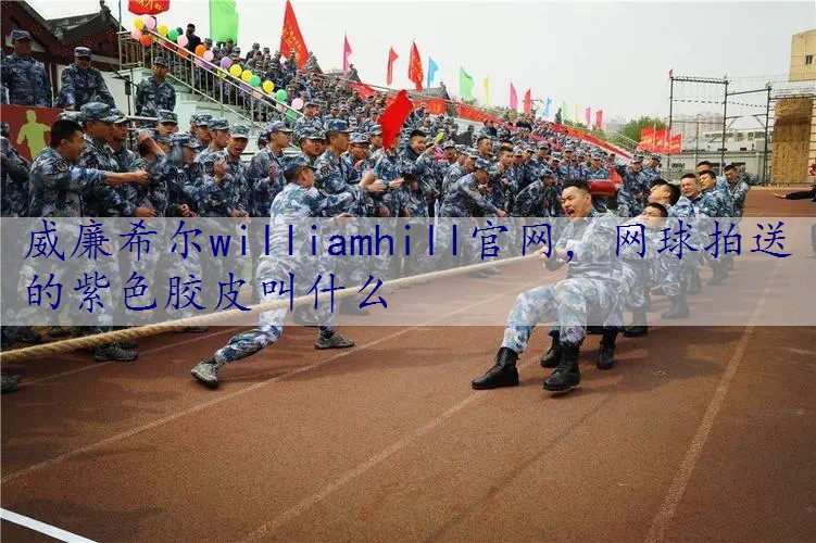 网球拍送的紫色胶皮叫什么