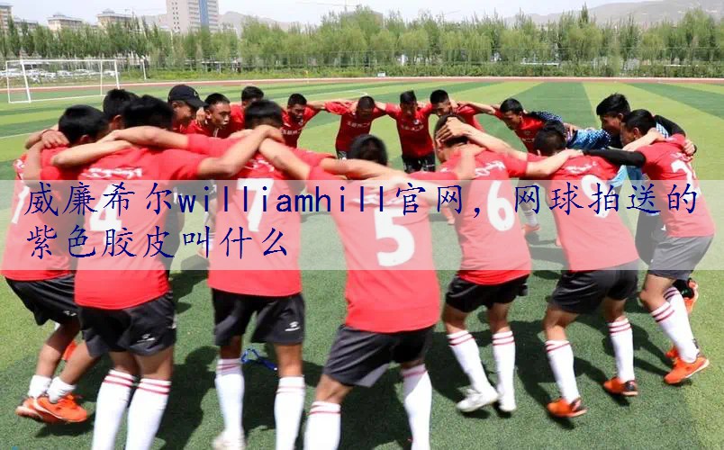 网球拍送的紫色胶皮叫什么
