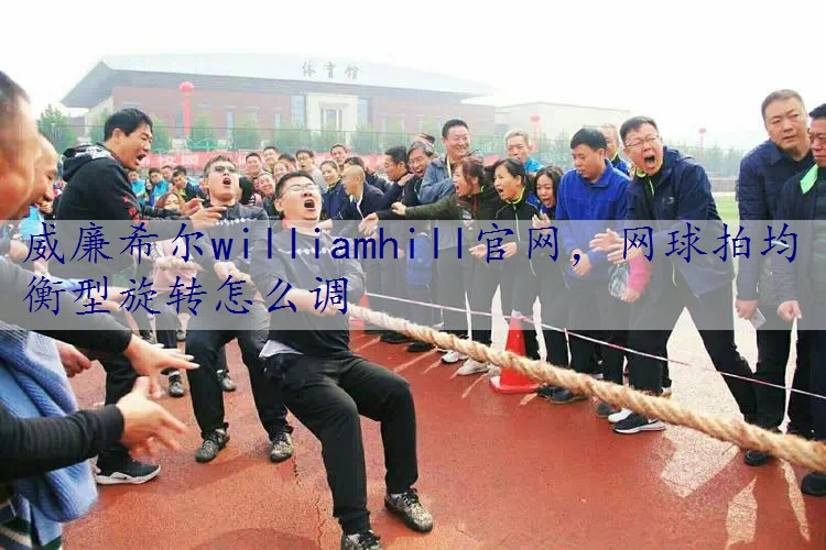 网球拍均衡型旋转怎么调