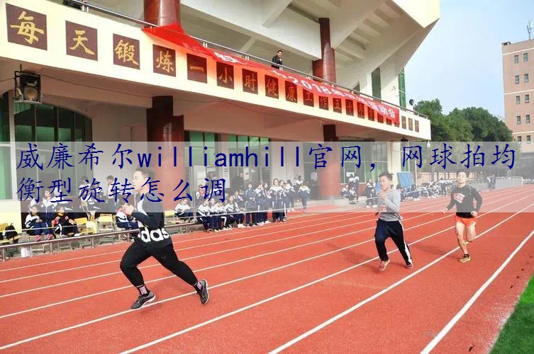 网球拍均衡型旋转怎么调