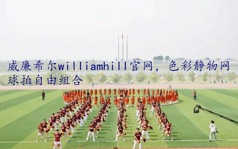 色彩静物网球拍自由组合
