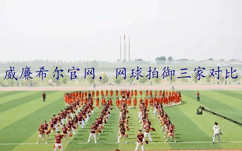 网球拍御三家对比
